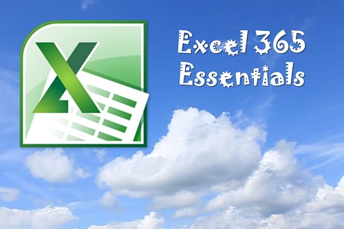 Excel 365 Essentials